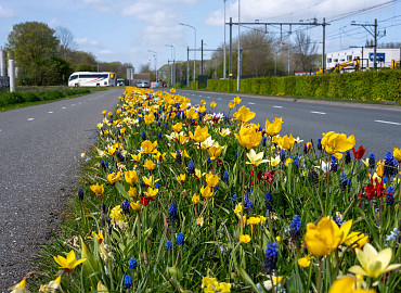 APRIL - MAY
