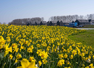 FEBRUAR - APRIL
