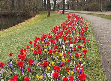 MARCH - APRIL