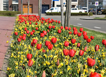 APRIL