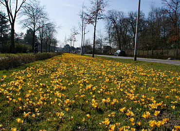 FEBRUARI