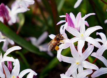 CLOSE-UP