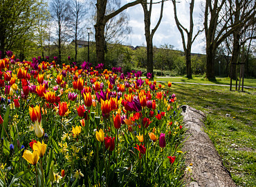 APRIL - MEI