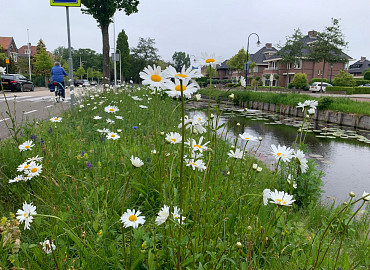 JUNI (optioneel toevoeging zaden)