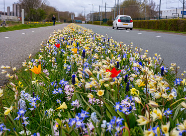 MARCH