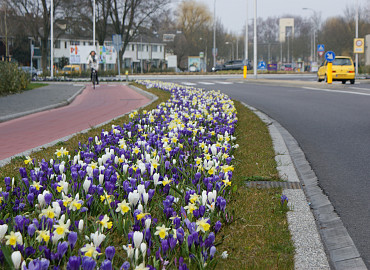 FEBRUARY