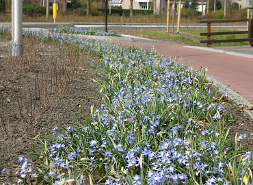 MARCH