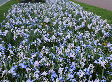 MARCH
