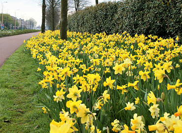 MARCH - APRIL