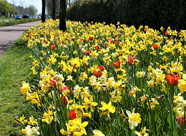 APRIL