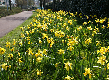 MARCH