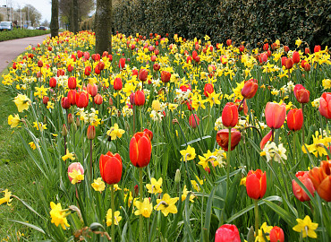 APRIL - MAY