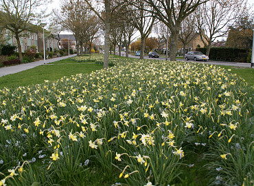 MARCH