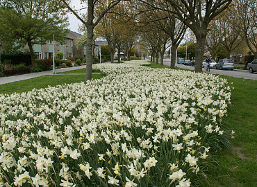 APRIL