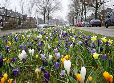 FEBRUAR - MÄRZ