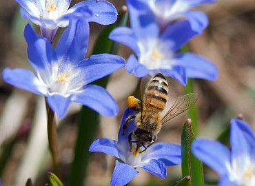 CLOSE-UP