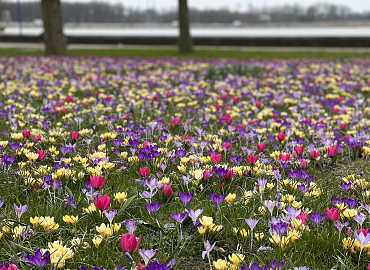 FEBRUAR