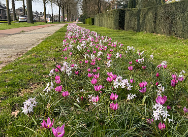 MÄRZ - APRIL