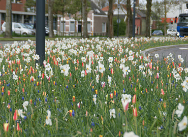 APRIL
