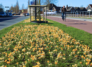 FEBRUAR