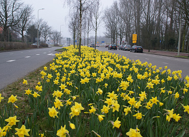 FEBRUARI - MAART