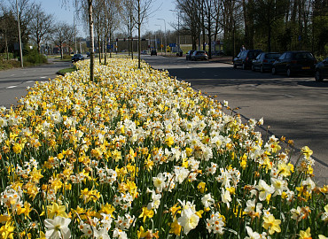 APRIL - MAY