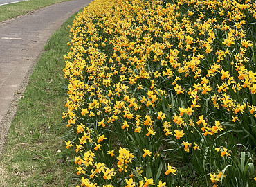 FEBRUARI - APRIL