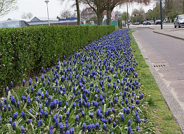 APRIL