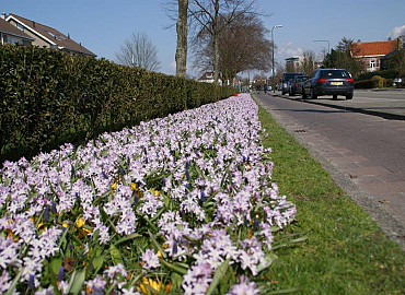 MARCH