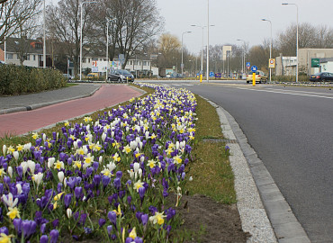 FEBRUARI - MAART
