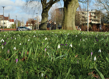 FEBRUAR 