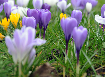 FEBRUARI - MAART