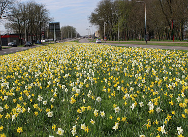 FEBRUAR - APRIL