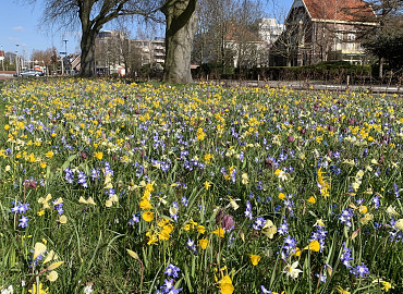 MARCH - APRIL