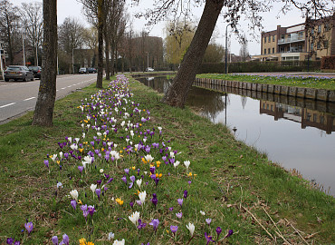 FEBRUARY